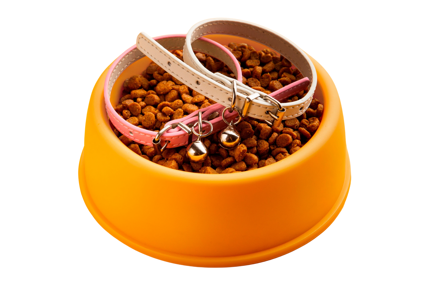 Accessoires de voyage pour chiens et chats – Pet Nomade